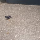 용산역(2번출구) 이미지