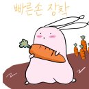 해피샌드