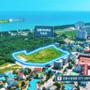 안목커피거리카라반캠핑 이미지