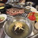 바쁜 백수 윤재콩일상