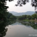 의림지-07 이미지