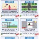 주정차6 국제뉴스