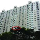 한남대로(서측) 이미지