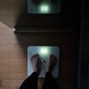 내돈내산 <경희바로한의원> 은비환 다이어트 6키로 감량 후기