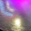 무역로581번길 이미지