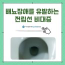 이석영연세비뇨의학과의원 | 전립선 건강이 중요한 이유 [이석영연세비뇨의학과의원]