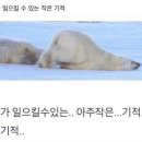 영어 회화A 이미지