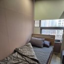 참약국(광명동물약국) | 고도근시 올레이저라섹 / 투데이라섹 후기 +1주일