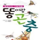 도도걸스 이미지