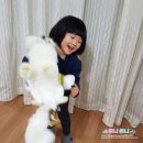 워니댁 네이버블로그