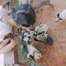 소민파크 이미지