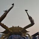 창성수산 - 남동구 장도로 86-17 | 창성수산