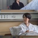 푸른해 이미지