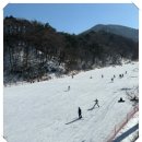 기타입문 초급 야간 | 무주스키장 렌탈샵 야간 스키 렌탈 솔직후기