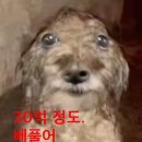 성은사우나 네이버블로그