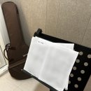 통기타(입문) | 통기타 입문_기타학원 한 달차 후기🎸