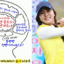 버디버디 이미지