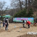 병서네 농장 뉴스1