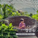 거제새둥지펜션 | 거제 실내 아이와 가볼만한곳 정글돔 식물원 새둥지 포토존 전문사진사