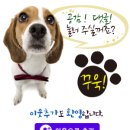 본가야밀면 이미지