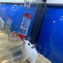 서이테크 이미지