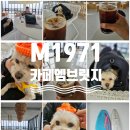 제주 모슬포 카페 추천 M1971 엠브릿지 반려견동반 솔직후기