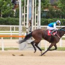 캡틴축산 이미지