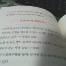 우리 아이 돌직구 성교육 이미지