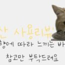 역곡오리집 이미지