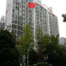 화신로-12 이미지