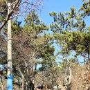 공동어시장 입구 이미지