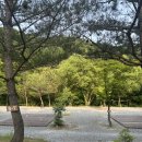무주계곡오토캠핑장 | 시원한 계곡이 있는 덕동계곡오토캠핑장 2박3일 후기 (B6 사이트)
