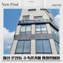 아산 온천동 수족관카페 엔젤인어항카페 방문후기