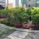 용산559 이미지