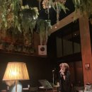 방콕 실롬 라이브바 추천｜시위라이 사운드 클럽(siwilai Sound Club) 분위기 후기