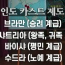 싹디 이미지