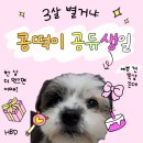 부곡테니스장 | 아무도안궁금한나의일상(8월)