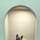 반스힐리조트 이미지