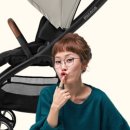 시크초이스 이미지