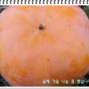 참새와새참 이미지
