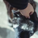 천운식당 이미지