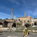 티타스 짐 | 로마 콜로세움 투어 포로로마노 팔라티노언덕 패스트트랙 입장권