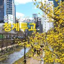 청계투고