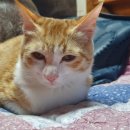 정성환동물병원 이미지