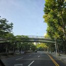 보령여행 대천해수욕장 맛집투어 스타렉스리무진점보 택시이동(1박2일)