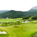 델피노숲 이미지