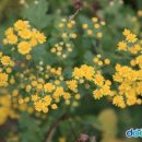 씨어터J 이미지