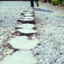 원조 풍원장 시골밥상 이미지