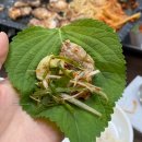 금호동 장미아파트 | [신금호역 맛집] 금호동 또간집, 생삼겹살 맛집 장미식당