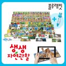 요거래빗 네이버블로그